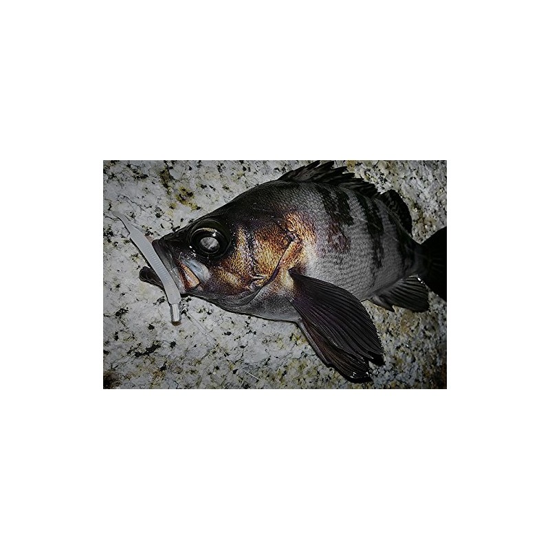 Berkley G2SQBS2-GOK Worm Gulp! SW Baby Sardine Lure, Glow Krill,