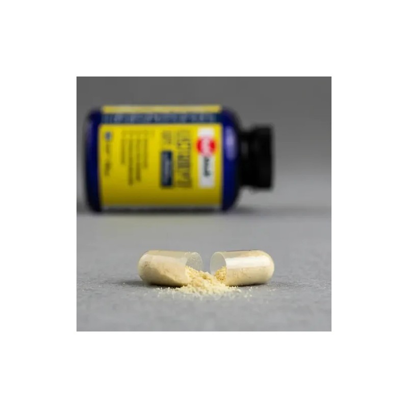 Capsulas Saltstick Plus Caps Sales Minerales Electrolitos Sabor Sal