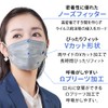 Iris Ohyama APN-60LP Pleated Masks, Non-Woven Fabric, Color Mask, Quantity:
