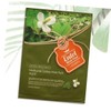 Moisturizing Pack Entel Houttuynia Cordata Sheet Pack Skin Soothing Mask Pack x 10 Packs / 수분팩 엔텔 어성초 시트팩 피부진정 마스크팩x10팩