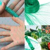 Bird Protection Net, Bird Net, Garden Net, Tight Mesh, Pond