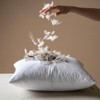 MIULEE 20x20 Pillow Inserts, Pack of 2 Feather Throw Pillow