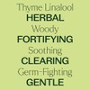 Plant Therapy | Aceite Esencial de Tomillo | 10 mL |