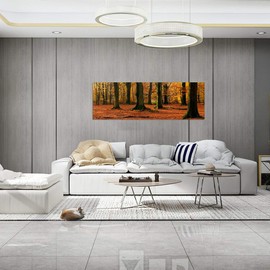 Niwo ART - Beech Trees - Beautiful Natures, Removable Wall Sticker | Self-Adhesive Wallpaper (72"x24")