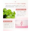 SELVE (セルブ) Color Setting Base (Color Primer) [SPF25 PA++] 18g