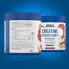 Applied Nutrition Creatine + 700ml Shaker | Creatine Monohydrate Micronized
