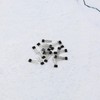 eMagTech 20pcs QX5252F Solar Lawn Light Control Chip LED Driver