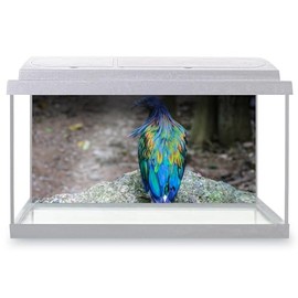 Aquarium Fish Tank Background 90x45 cm - Nicobar Colourful Pigeon Dove Breed Static Cling Vinyl Vivarium Terrarium External Application #51560