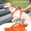 Sunraymascota No Pull Dog Harness, Puppy Vest with Front Clip