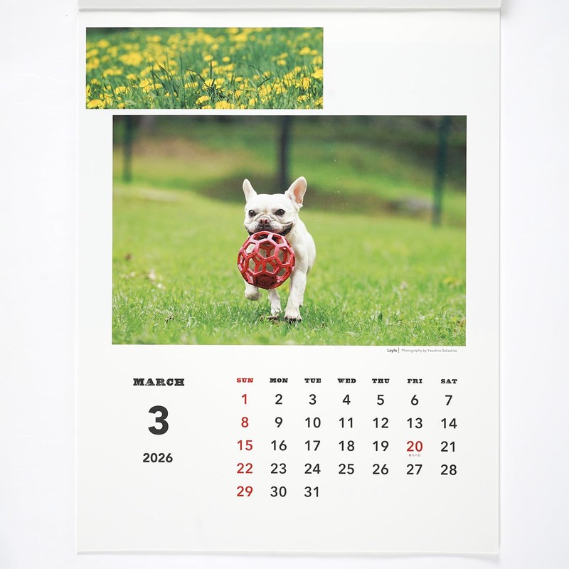 Greeting Life 2026 Calendar Natsuhiko Family Wall Hanging C-1741-NA