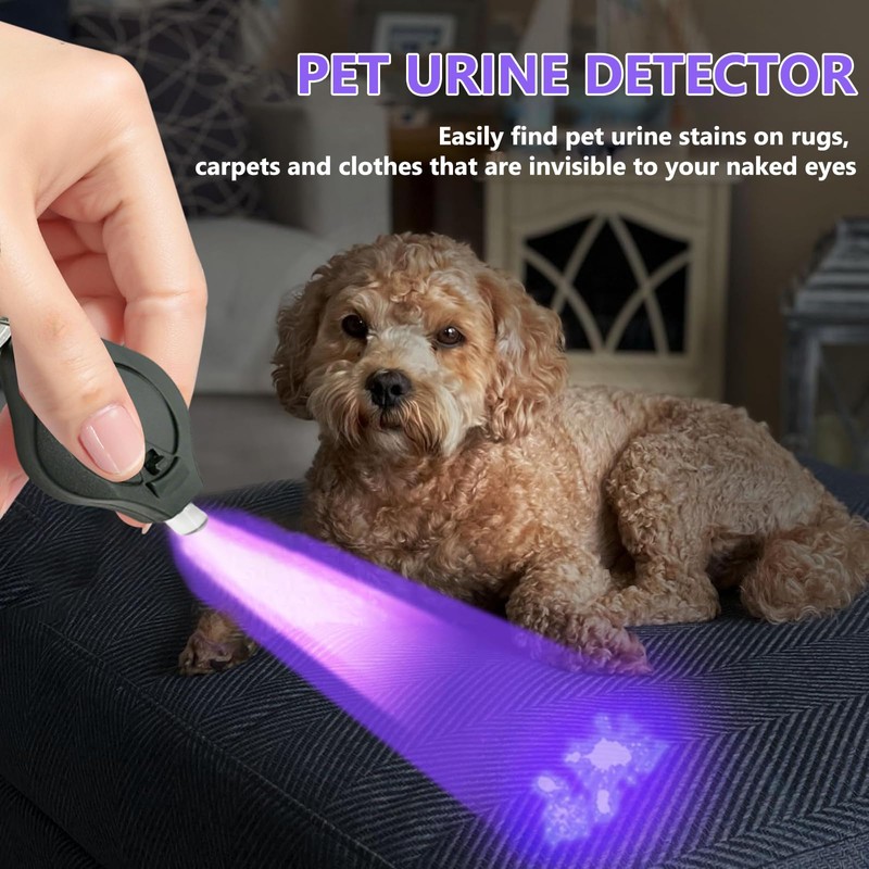 Mini Keychain Flashlight for Counterfeit Money Detection – UV Light