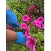 200 Disposable Gloves Medium Blue Nitrile Gloves Food, Mechanical, Industrial,