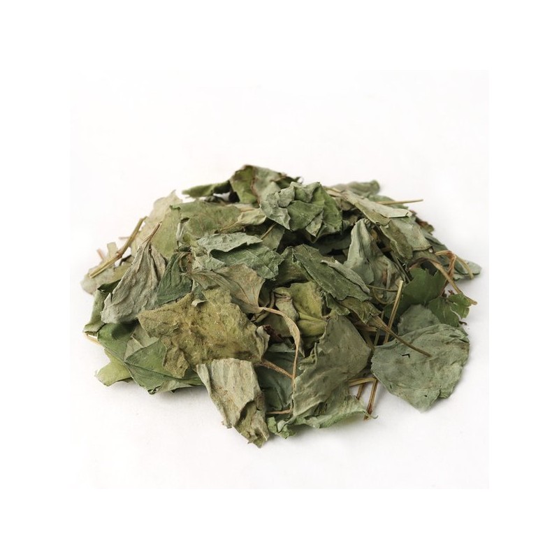 Donguihanjae 동의한재 국산 어성초 300g x 2개 Donguihanjae Domestic Artemisia