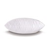 21x21 Hypoallergenic Luxury 100% Small Feather Square Pillow Insert, 100%