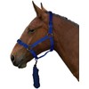 Gallop Basic Nylon Headcollar and Lead Rope Set, Full Size,