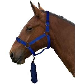 Gallop Basic Nylon Headcollar and Lead Rope Set, Full Size, Black
