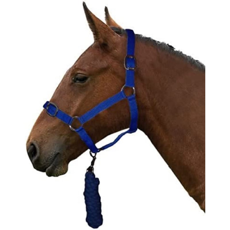 Gallop Basic Nylon Headcollar and Lead Rope Set, Full Size,