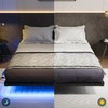 Liians Queen Size Floating Bed Frame with USB Charging Station