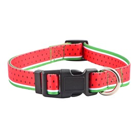 Native Pup Flower Dog Collar, Adjustable Small Medium Large, Cute Girl Female Summer Spring Pretty Designer Puppy Essentials Accessories, Pink Floral Blue Daisy Rose (Medium, Watermelon)