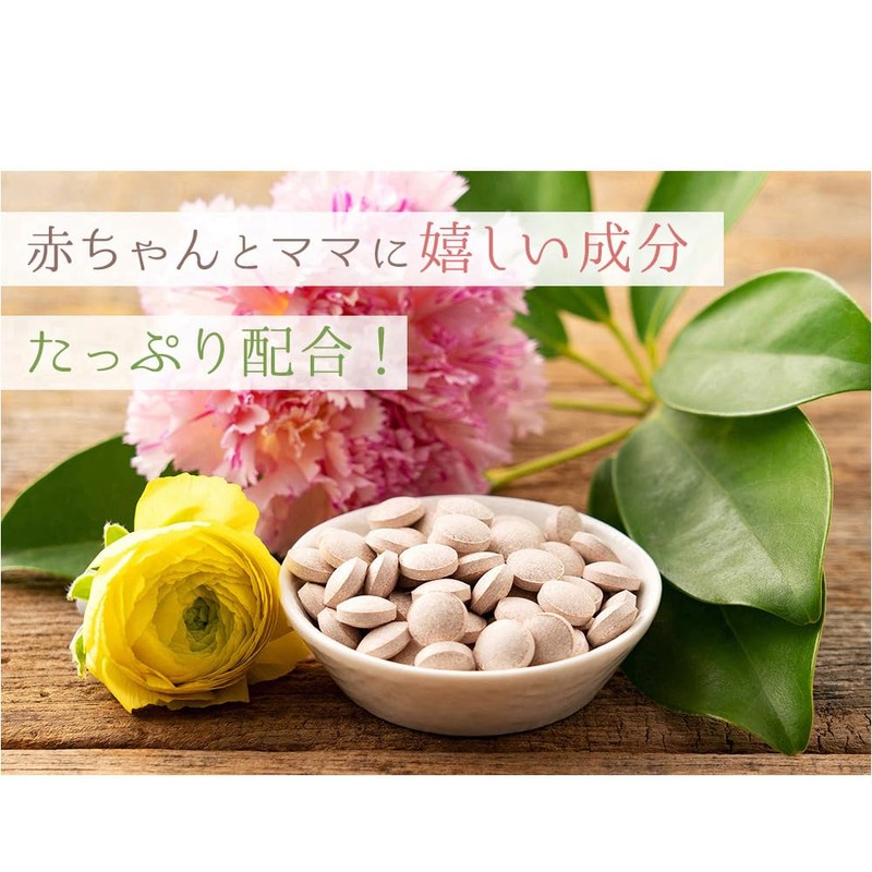 【管理栄養士・薬剤師監修の葉酸サプリ】 葉酸900μg配合＆鉄＆カルシウム＋乳酸菌 葉酸900 90粒×3（約90日分）野口医学研究所