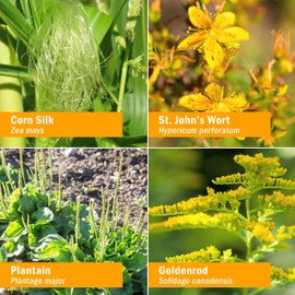 Herb Pharm Calm Bladder Liquid Formula for Urinary System Support - 1 Ounce