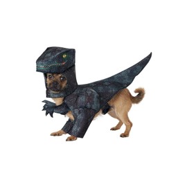 California Costumes - Collections PET20169 Disfraz de pupasaurus rex para perro, talla XS