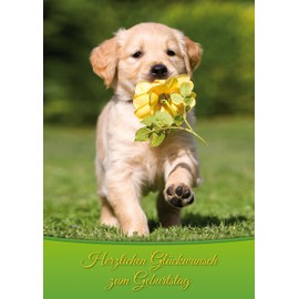 Edition Colibri XL Birthday Card Dog with Flower: Funny Birthday Card DIN A4 Format with Matching Envelope (10739)