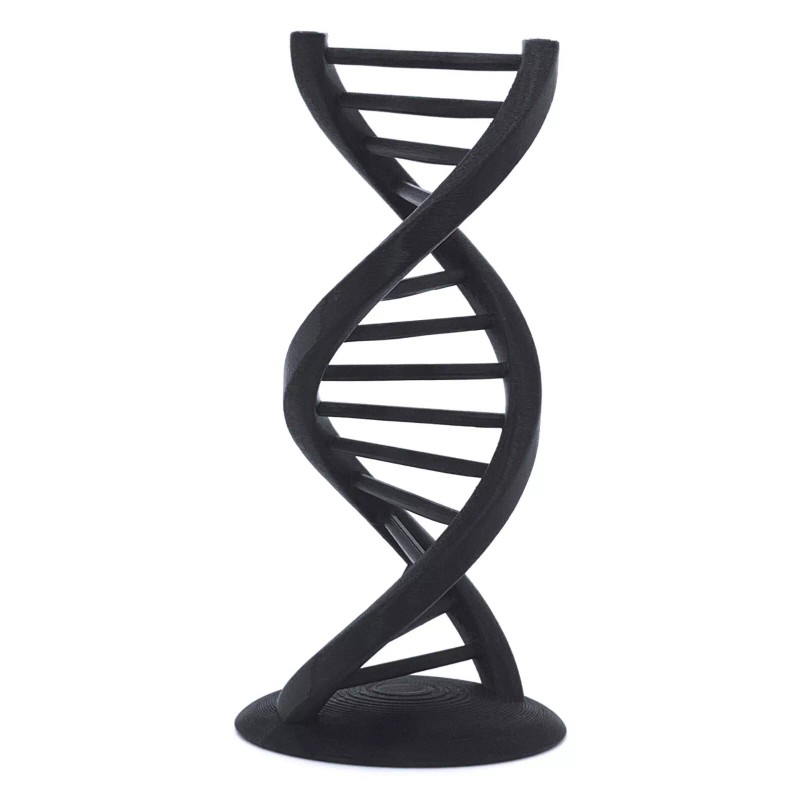 DNA Double Helix, 3D Printed