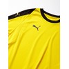 PUMA Men's Liga Goalkeeper Jersey
