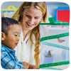 Insect Lore Raise and Release Butterfly Garden Kit – Caterpillar