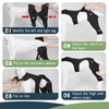 Supet Dog Rear Leg Sleeve to Stop Licking- Anti Licking
