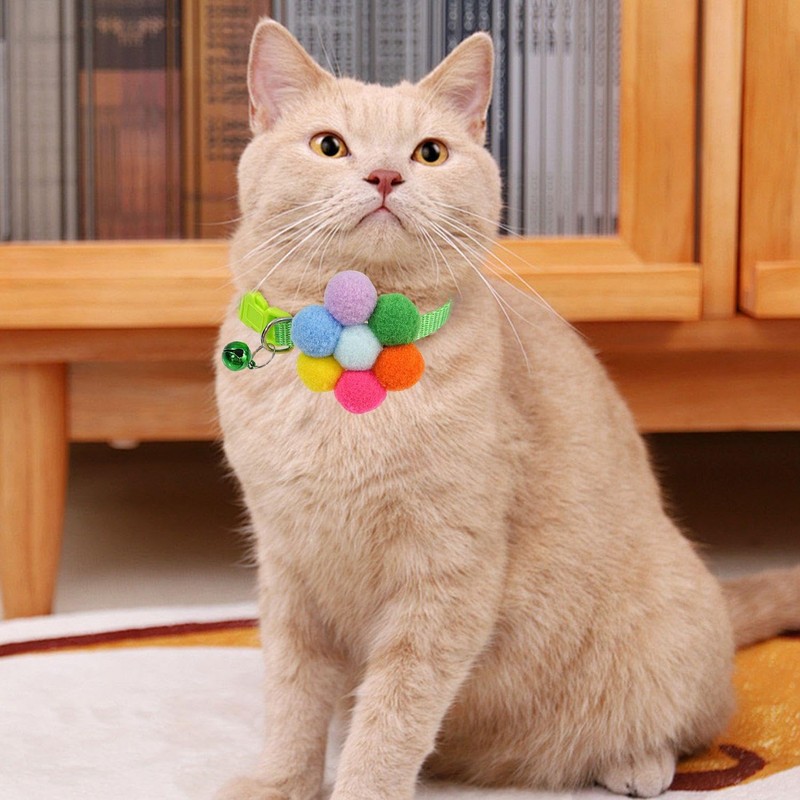 1 Piece Watermelon Anti-Licking Ring And 1 Piece Collar, Creative