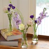 35 PCS Glass Bud Vases for Centerpieces, 5.5" Clear Small