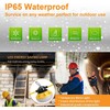 100FT Construction LED String Lights, Industrial Grade Best for Construction