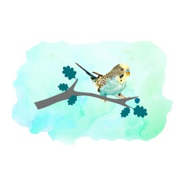 Design With Vinyl Animal Watercolor Wall Decals for Kids Room - Small Parrot Like Bird Blue Bakcground Girly DIY & Creativity Boy Girl Bedroom Wall Water Color Sticker - Size: 40 in x 24 in