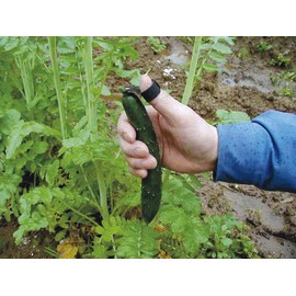 Harvest, Cutter, V-shape 09375