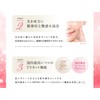 Everlife Evolution Foundation Beauty Koujun Perfect Mesh Dobote High Cover