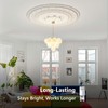 Lumitoric 2 Pack G9 LED Bulb Dimmable, 35 Watt Halogen