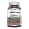 Amazing Nutrition Pine Bark Extract 100 Mg 60 Cápsulas Veganas