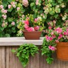 HOMION 31cm Venetian Wall Planter Hanging Basket Flower planter Plastic