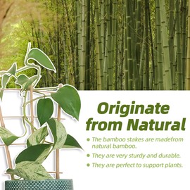 10 Pack 16" Bamboo Trellis for Climbing Plants-Natural Garden Ladder Trellis, Fan -Shaped Support Trellis for Potted Plant Decor in Door