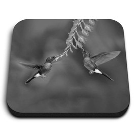 1 x Square MDF Fridge Magnet - Hummingbirds Wildlife Small Bird 37563