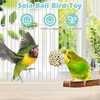 PINVNBY 6 Pack Small Sola Balls Bird Toys Soft &