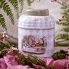 Alice in Wonderland Tea Caddy with 80 English Breakfast Teabags