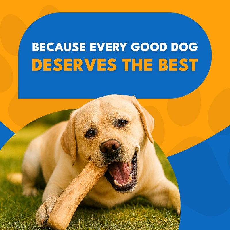 MINOWILD Coffee Wood Dog Chew Toy for Medium Dogs Under