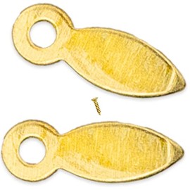 Picture Frame Backing Clips Brass 1" with Screws Large Size 100 Pack - Retaining Clips for Picture Frames - Flat Turnbuttons 100 Tabs and 100 Screws