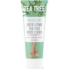 Spate Carry Exfoliating Tea Tree Foot Scrub 300g, 1 piece, 1 piece, 300ml / 스파테캐리 각질제거 티트리 풋 스크럽 300g, 1개, 1개, 300ml