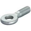 Fischer Eye Screw AG M 8 x 25 Pack of 1