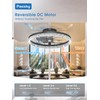 Passky 19.7” Low Profile Ceiling Fan with Lights and Remote,