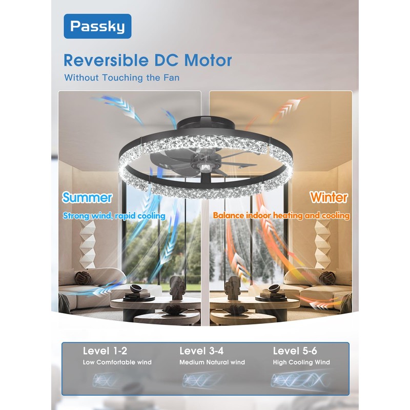 Passky 19.7” Low Profile Ceiling Fan with Lights and Remote,